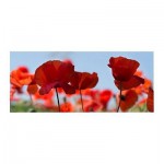 ПЬЕТТЕРИД Картина ПЬЕТТЕРИД Картина