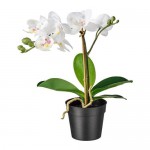 FEJKA искусственное растение в горшке Орхидея белый