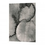 КАЛЬВИА Дверь - 60x80 см