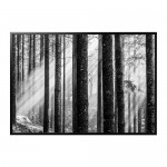 BJÖRKSTA картина с рамой