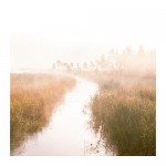 SNÖSTORP картина