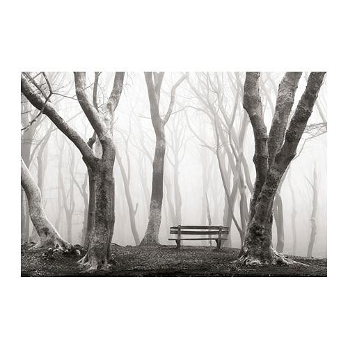 НОРРХАССЕЛ Постер