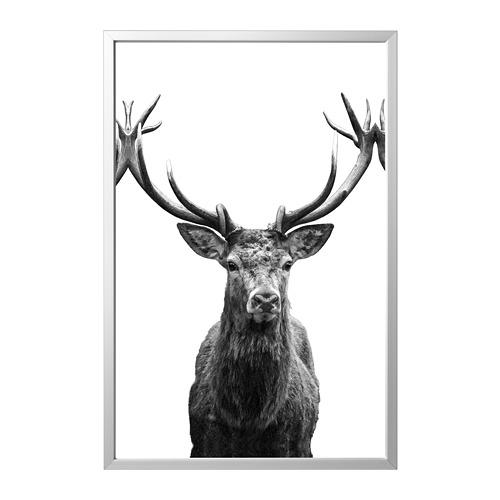 BJÖRKSTA картина с рамой BJÖRKSTA картина с рамой