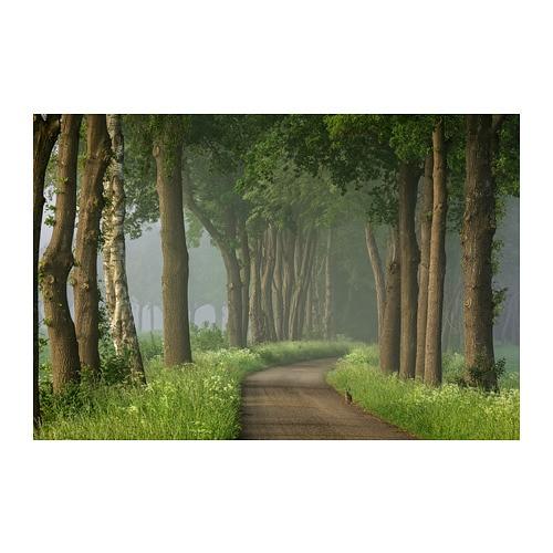 НОРРХАССЕЛ Постер