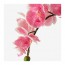 FEJKA искусственное растение в горшке Орхидея розовый