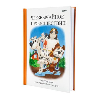 ГОСИГ Книга