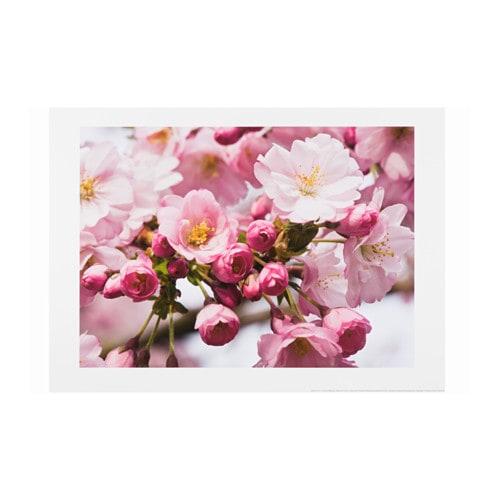 ЭДЕЛВИК Постер