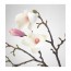 SMYCKA цветок искусственный Магнолия/розовый 110 cm