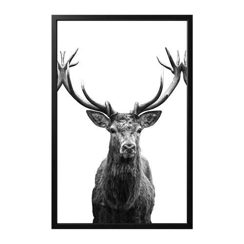 BJÖRKSTA картина с рамой BJÖRKSTA картина с рамой