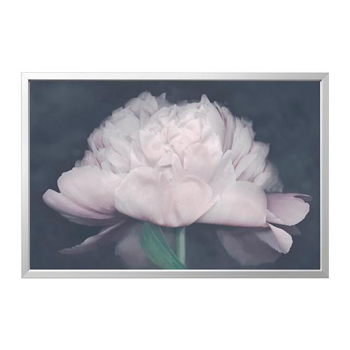 BJÖRKSTA картина с рамой