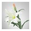 SMYCKA цветок искусственный лилия/белый 85 cm