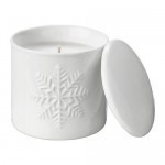 ВИНТЕР 2017 Ароматическая свеча в банке