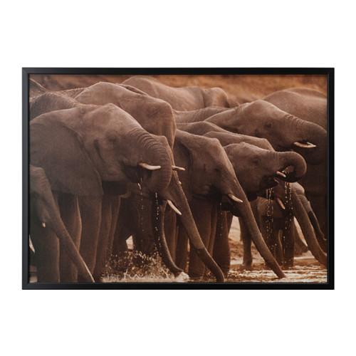 БЬЁРКСТА Картина с рамой - черный БЬЁРКСТА Картина с рамой - черный