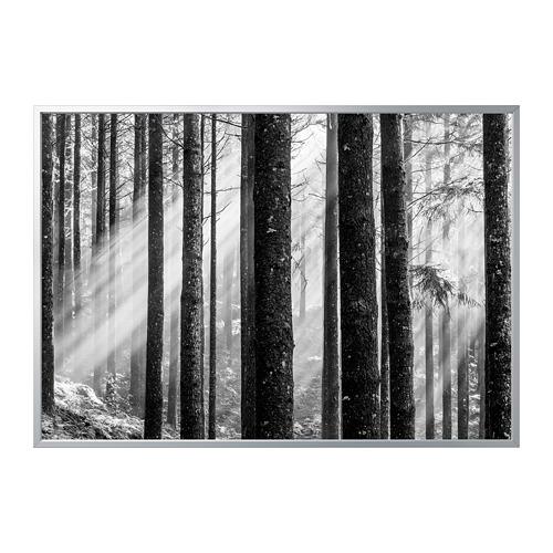 BJÖRKSTA картина с рамой