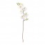 SMYCKA цветок искусственный Орхидея/белый 60 cm