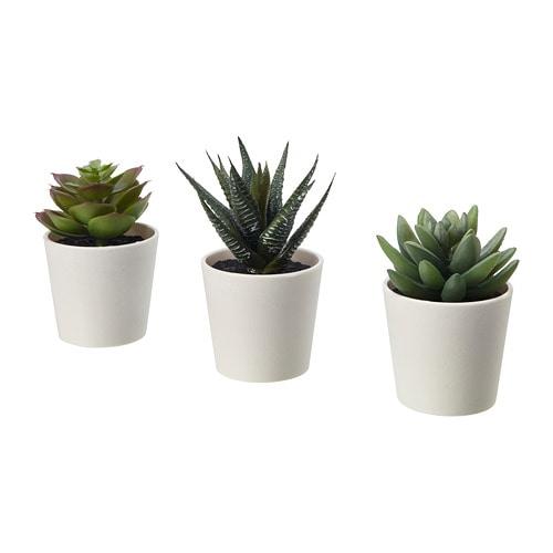 duft Snavs mærke FEIKA Artificial plant and planters (203.953.45) - reviews, price, where to  buy