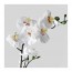 FEJKA искусственное растение в горшке Орхидея белый