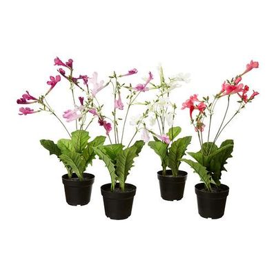 ФЕЙКА Искусственное растение в горшке ФЕЙКА Искусственное растение в горшке