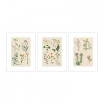 ТРИЛЛИНГ Набор постеров,3шт ТРИЛЛИНГ Набор постеров,3шт