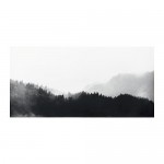 ПЬЕТТЕРИД Картина