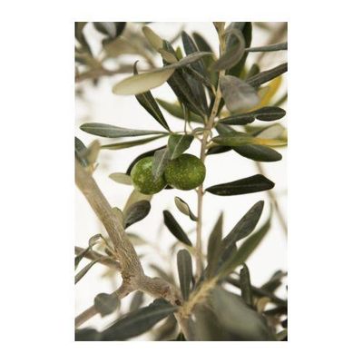 ПЬЕТТЕРИД Картина ПЬЕТТЕРИД Картина