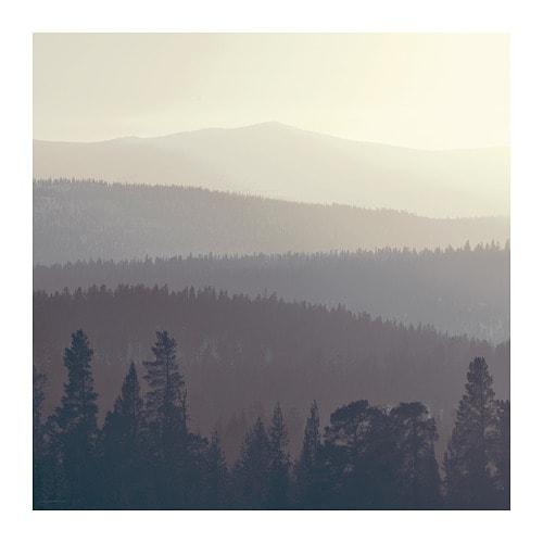 СНОСТОРП Картина