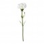 SMYCKA цветок искусственный гвоздика/белый 30 cm