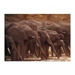 БЬЁРКСТА Картина БЬЁРКСТА Картина