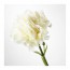 SMYCKA цветок искусственный гвоздика/белый 30 cm