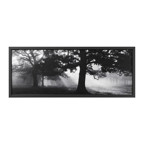 БЬЁРКСТА Картина с рамой - черный