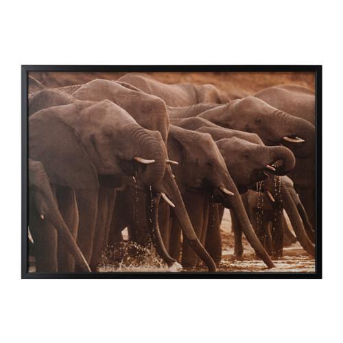 БЬЁРКСТА Картина с рамой - черный