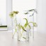 CYLINDER набор ваз,3 штуки прозрачное стекло
