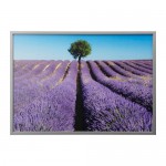 БЬЁРКСТА Картина с рамой - цвет алюминия