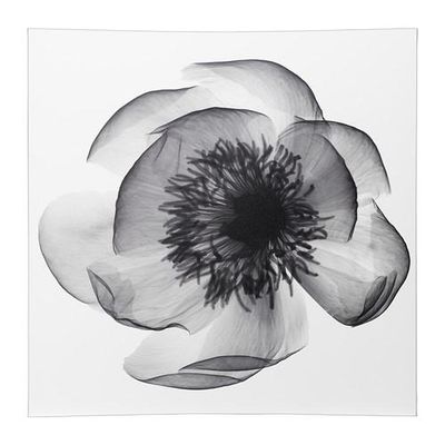 КЛОКСХУЛЬТ Картина КЛОКСХУЛЬТ Картина