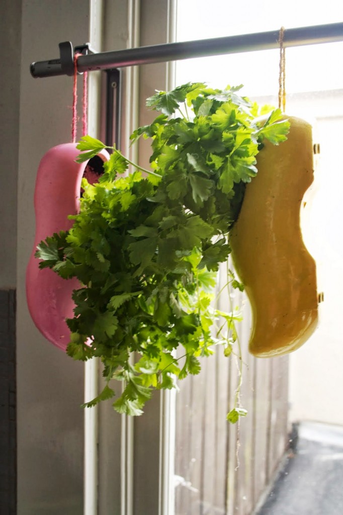 Кухонный сад