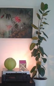 Лайт-бокс МОППЕ в интерьере