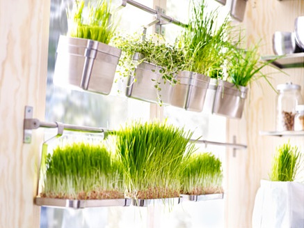 Полка ГРУНДТАЛЬ